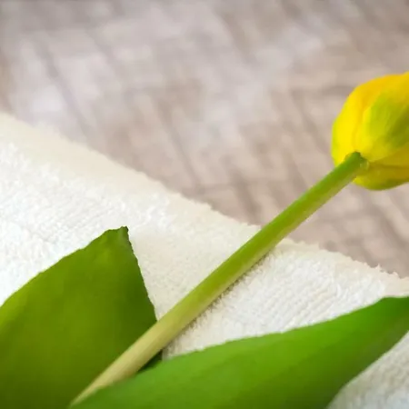 Luxury 24 Apartament *