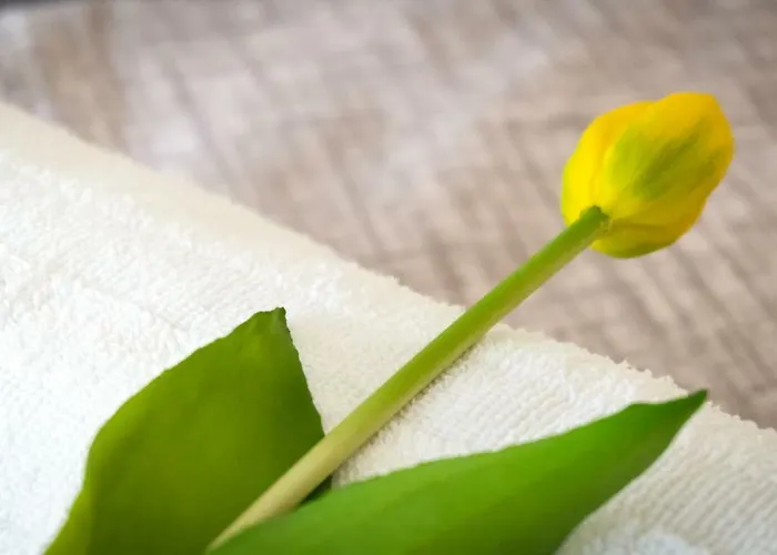 Luxury 24 Apartment *